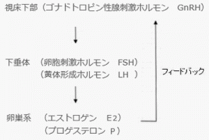 画像に alt 属性が指定されていません。ファイル名: hormone1-300x201.gif